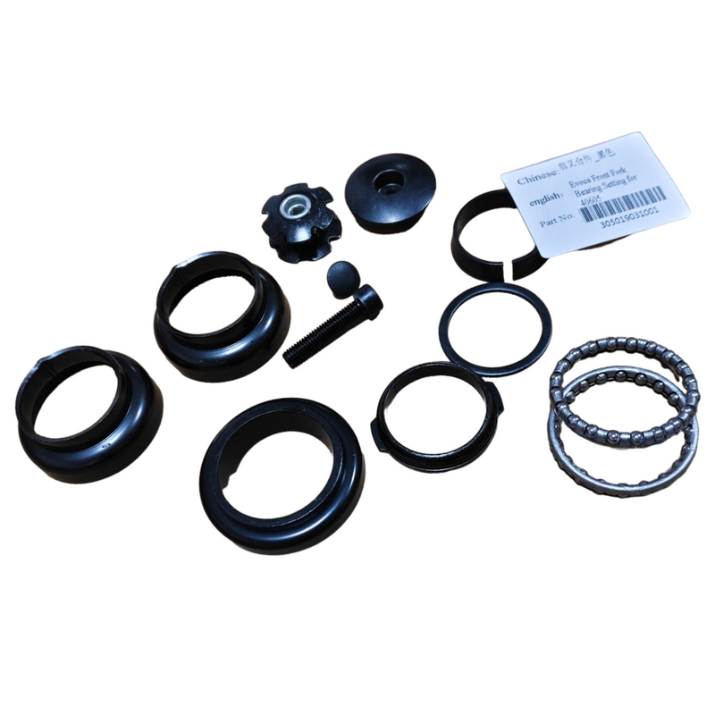 EVOCA FRONT FORK BEARING SETING