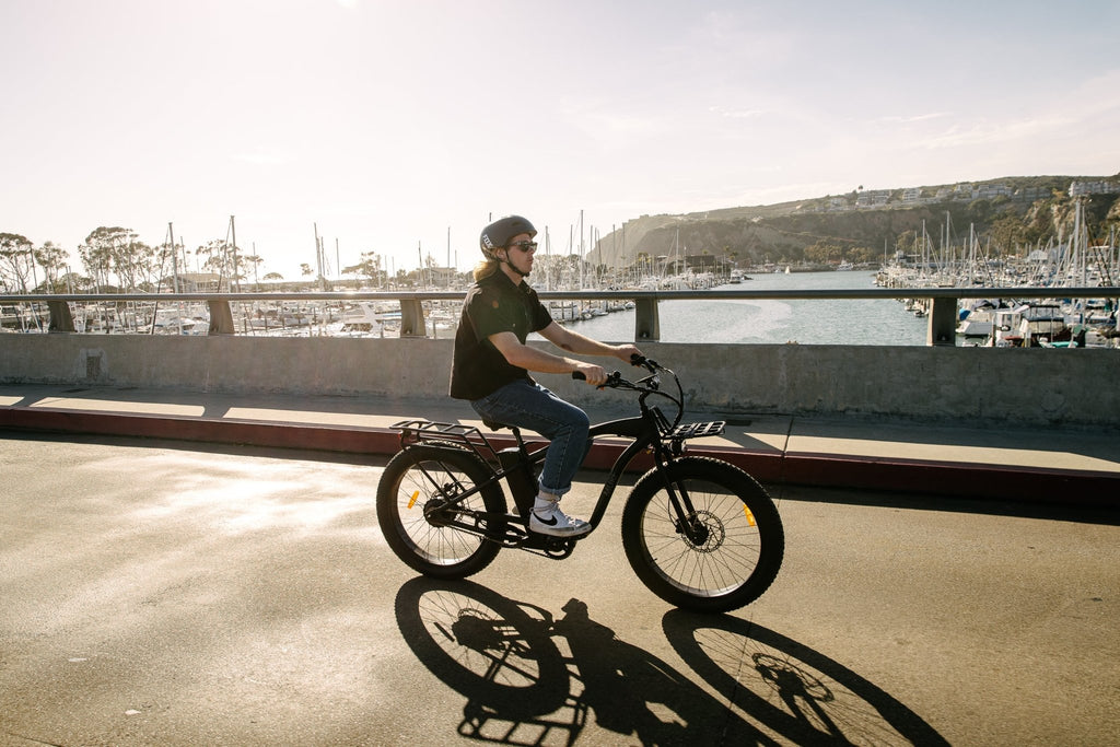 MURF ELECTRIC BIKES: ALPHA BLACK - Mozzi